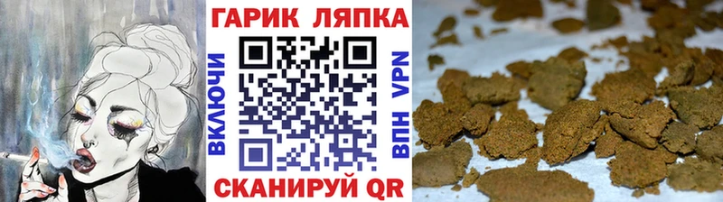 ссылка на мегу ТОР  Новотитаровская  Гашиш VHQ  цена наркотик 