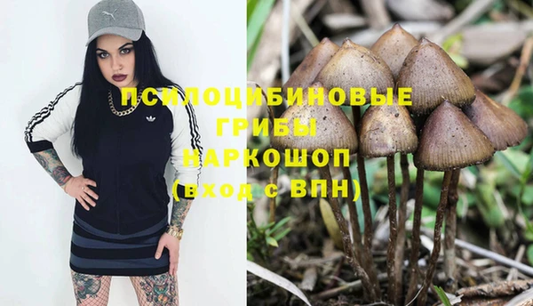синтетический гашиш Балахна