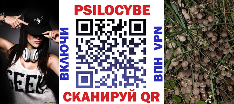 hydra зеркало  Новотитаровская  Псилоцибиновые грибы Psilocybe 
